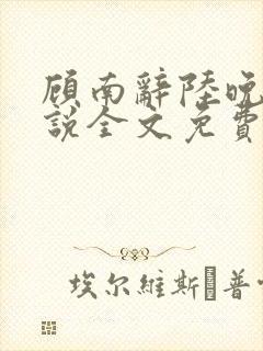 顾南辞陆晚宁小说全文免费阅读全文