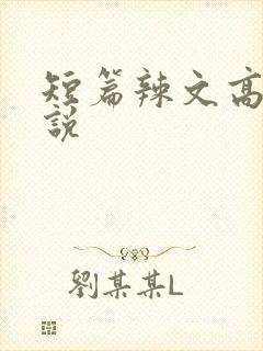 短篇辣文高h小说