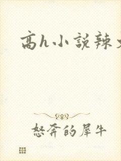 高h小说辣文