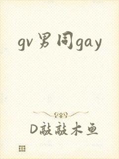 gv男同gay