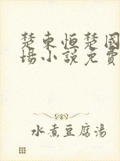 楚东恒楚国萍官场小说免费阅读
