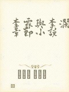 李霖与李澜最新章节小说