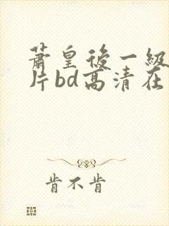 萧皇后一级艳史片bd高清在线观看