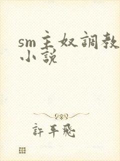 sm主奴调教文小说