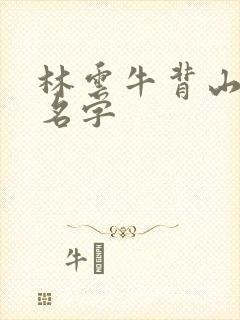 林云牛背山小说名字