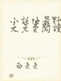 小说他最野了全文免费阅读