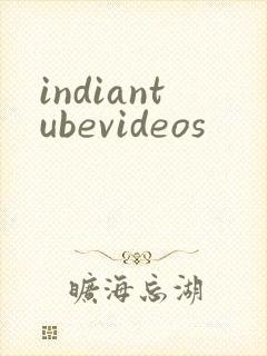indiantubevideos封面
