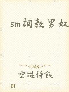 sm调教男奴文