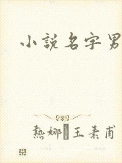 小说名字男生