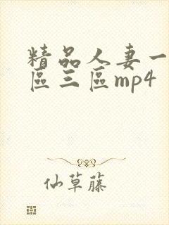 精品人妻一区二区三区mp4