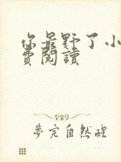你最野了小说免费阅读封面