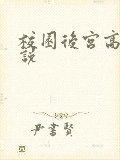 校园后宫高h小说