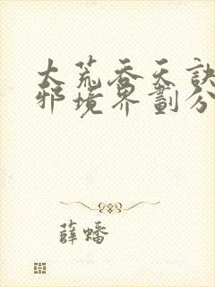 太荒吞天诀柳无邪境界划分