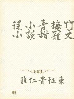 从小青梅竹马的小说甜宠文