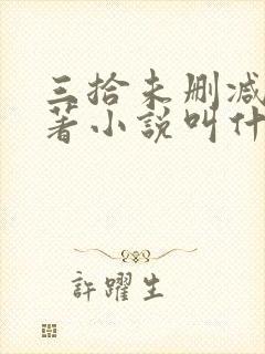 三拾未删减版原著小说叫什么