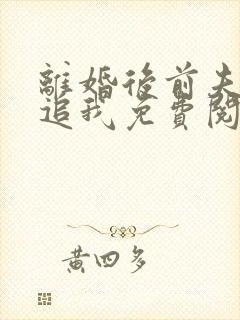 离婚后前夫总是追我免费阅读