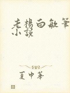 老杨白敏笔趣阁小说