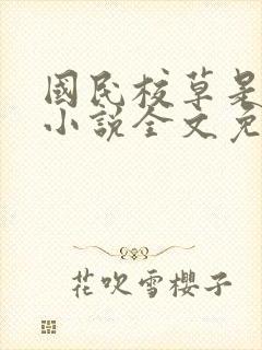 国民校草是女生小说全文免费阅读