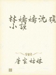 林娇娇沈砚川的小说