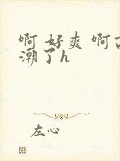 啊 好爽 啊高潮了h