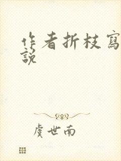 作者折枝写的小说