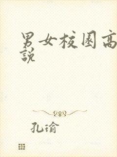 男女校园高h小说