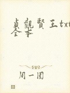 贞观贤王txt全本封面