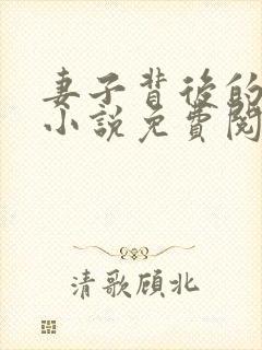 妻子背后的秘密小说免费阅读封面