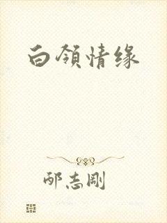 白领情缘