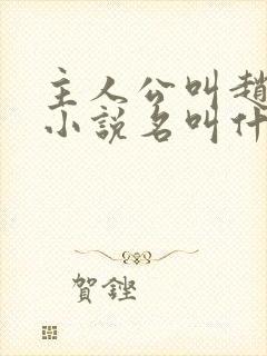 主人公叫赵旭的小说名叫什么