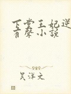 下堂王妃逆袭记有声小说封面