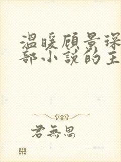 温暖顾景琛是哪部小说的主人公
