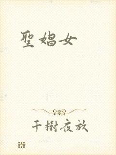 圣娼女封面