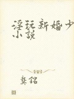 淫玩新婚少妇的小说
