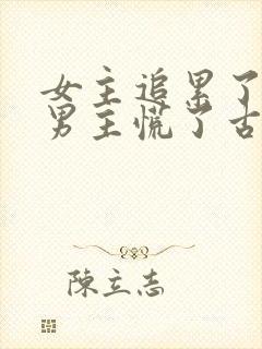 女主追累了放弃男主慌了古言