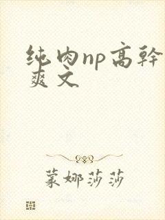 纯肉np高干h爽文