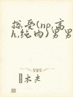 总受(np,高h,纯肉)男男文