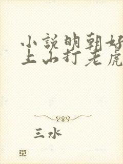 小说明朝好丈夫上山打老虎额封面