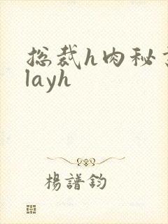 总裁h肉秘书playh