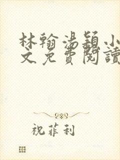 林翰汤颖小说全文免费阅读