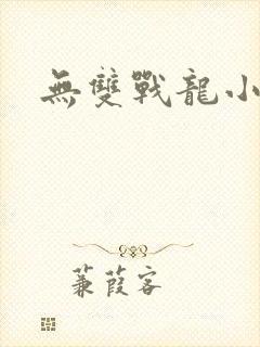 无双战龙小说