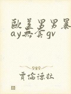 欧美男男暴菊gay无套gv封面