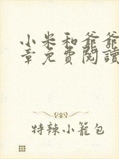 小米和爷爷第三章免费阅读封面
