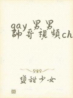 gay 男男 帅哥视频chinese