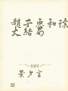 赵子惠和徐天的大结局封面