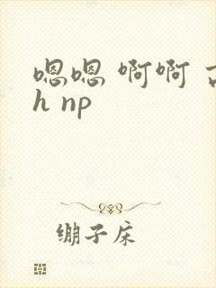 嗯嗯 啊啊 高h np