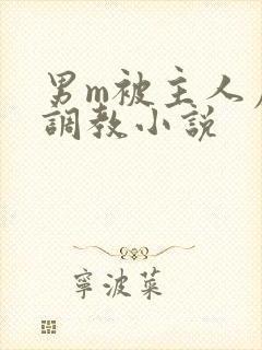 男m被主人虐玩调教小说