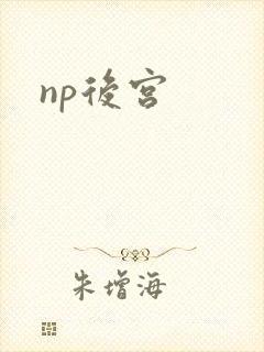 np后宫