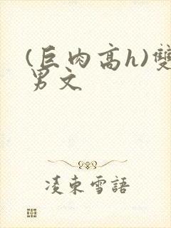 (巨肉高h)双男文