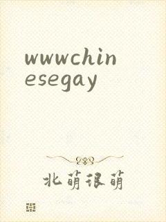 wwwchinesegay封面